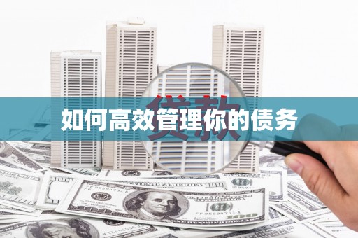 云南如何高效管理你的债务