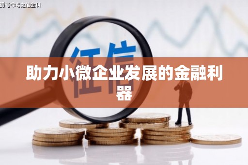 云南助力小微企业发展的金融利器