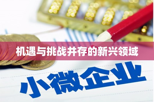 云南机遇与挑战并存的新兴领域
