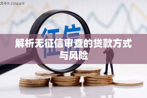 云南解析无征信审查的贷款方式与风险