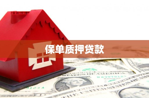 云南保单质押贷款
