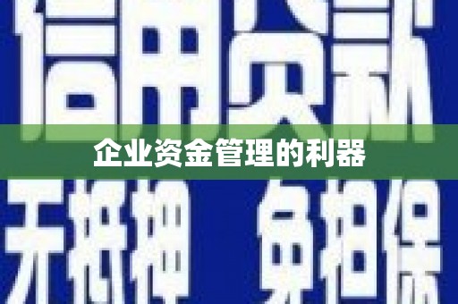 云南企业资金管理的利器