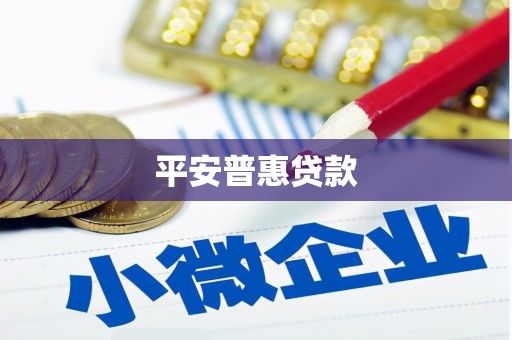云南平安普惠贷款